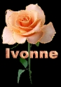Ivonne1.gif